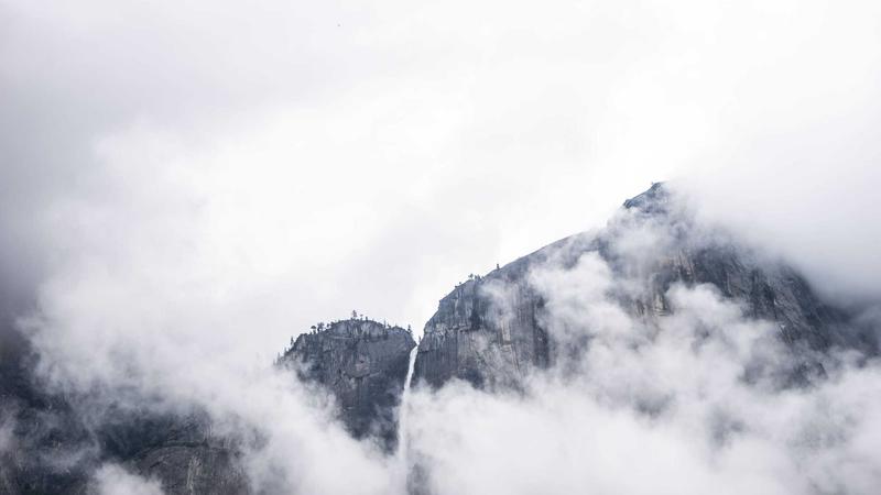 ehviewer绿色版隐私守护成功案例展示